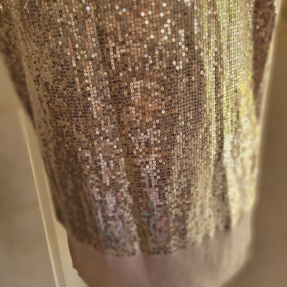 Caché Champagne/Nude Sequins Boat Neck Blouse Size Small - Picture 3 of 7